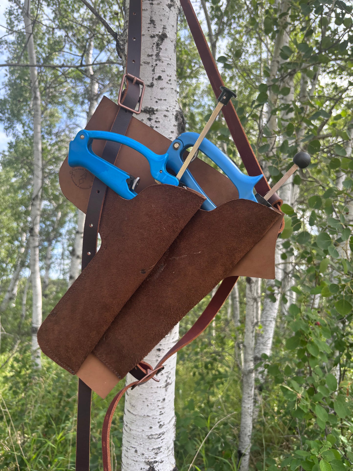 Vaccine Gun Holster